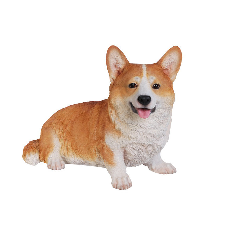 Statut de chien Corgi