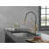 Foundry Pull Down Single Handle Kitchen Faucet with  Soap Dispenser