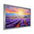 Silver Single Picture Framed