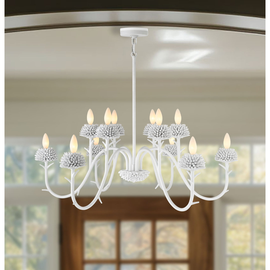 12 - Light Dimmable Classic / Traditional Chandelier Ophelia & Co.