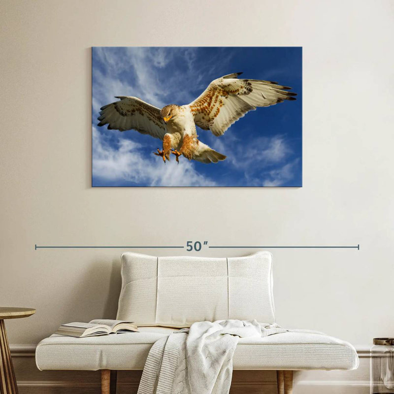 Brampt Hawk Attack, 26" H x 39" W