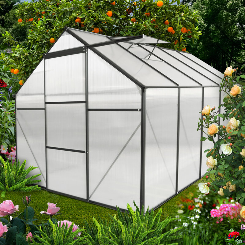 Serre robuste de 1,8 x 3 m avec système de drainage pour le jardinage extérieur en toutes saisons. Base galvanisée accessible à pied et bonne ventilation. Convient aux plantes de saison.