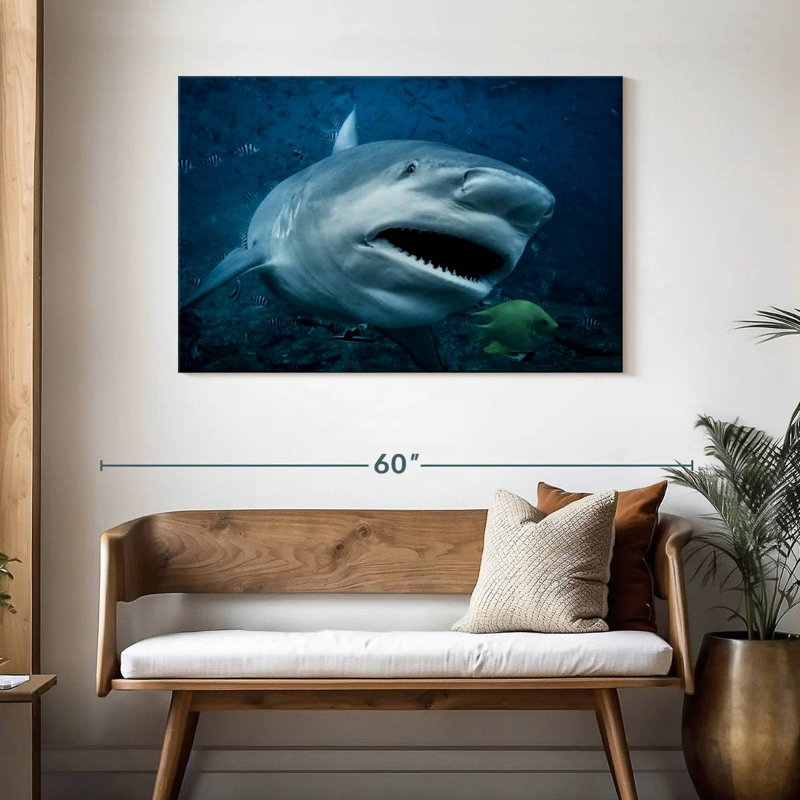 Brampt Bull Shark In Action, 30" H x 45" W