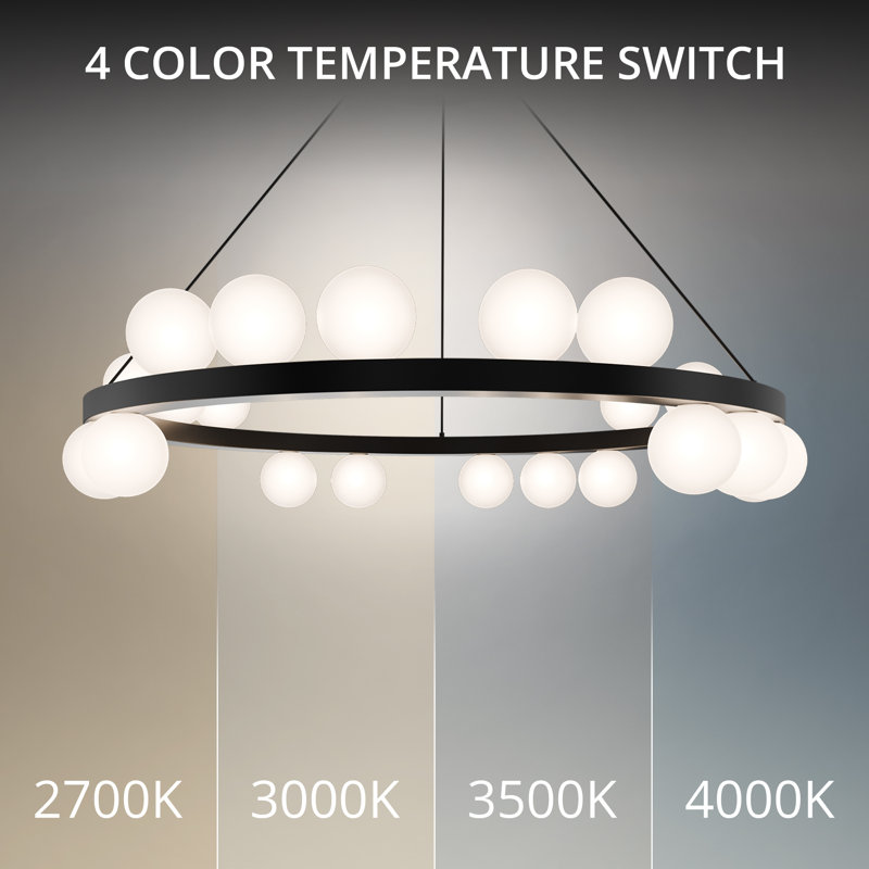 Carousel Dimmable LED Chandelier With Built-In Color Temperature Adjustability Switch, 2700K/3000K/3500K/4000K, Black