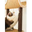 50'' H Cat Tree