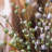Silk Cloth/Plastics Arrangement-2001004853-2001004852
