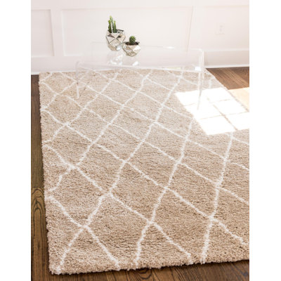 Paquette Shag Area Rug