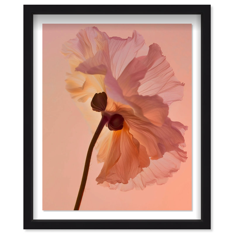 Amber Radiance III Shadowbox Floral & Botanical Print by Oliver Gal, Black Frame, 16 x 20, 25.5"H x 31.5"W, Black Shadowbox