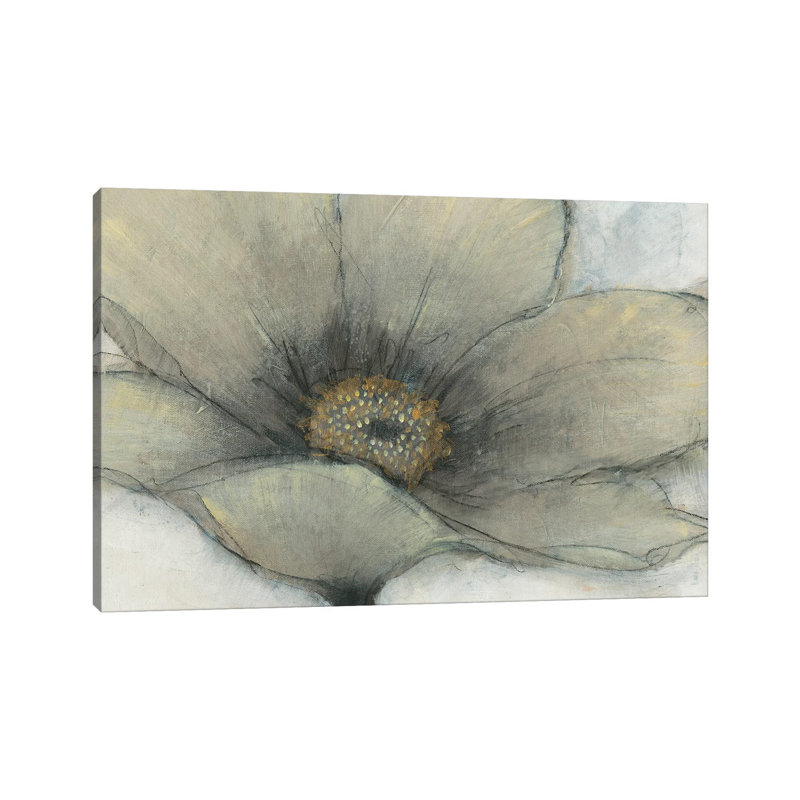 Single Cream Bloom II by Tim OToole - Gallery-Wrapped Canvas Giclée on Canvas, Canvas, 20.32 cm H x 30.48 cm W
