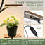 Plant Stand - Set of 11