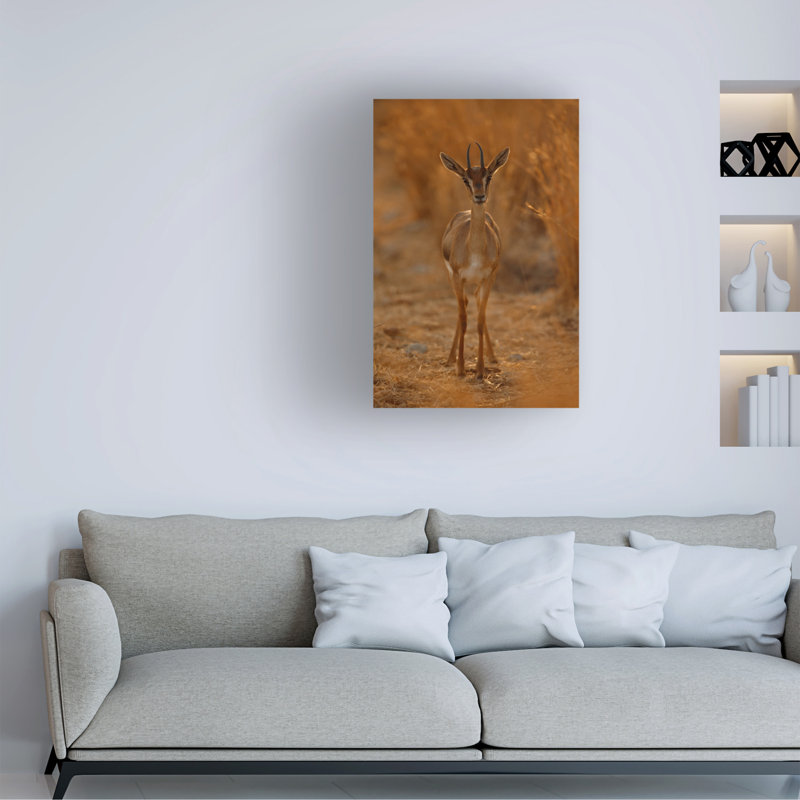 Art sur toile Assaf Gavra Gazella, H 19 po x l 12 po
