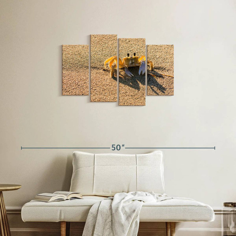 Brampt Crab On Beach, 22" H x 36" W