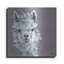  «Alpaca Punch» par Michele Norman, art mural en métal, 12 po x 12 po-788861263