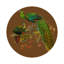 Family Pheasants Pinot Vegan Leather Round Coasters-298883834