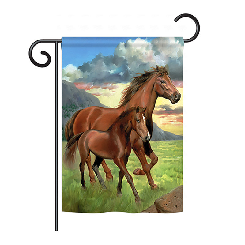 Drapeau de maison Carmack Americana, H 40 po x l 28 po