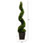 45 plantes