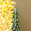 Resin Christmas Table Tree Décor-611786069