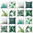 Green Floral selected