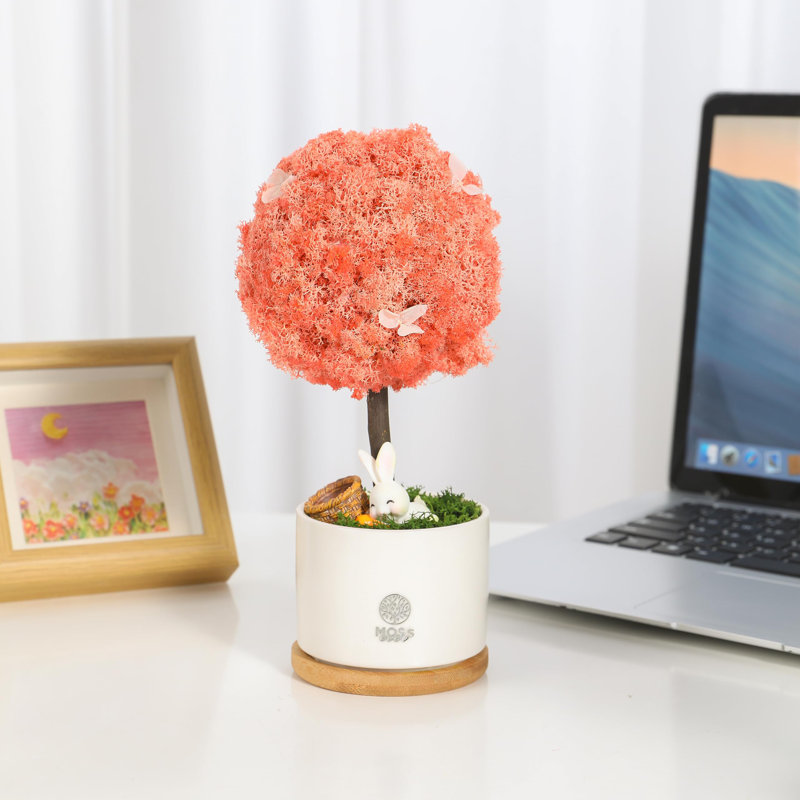Arrangement in Pot, Pinkish Orange