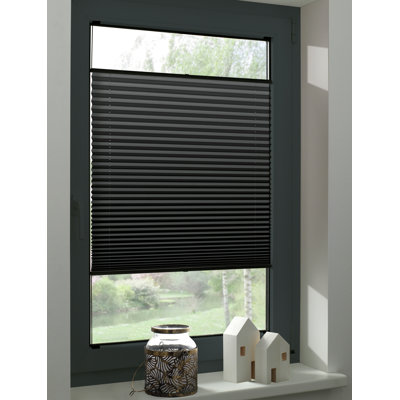 Cordless Blackout Pleated Shade
