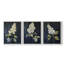 Étude florale série LIX - ensemble de 3 estampes giclées encadrées - prêt à être accroché-107268421-107268423