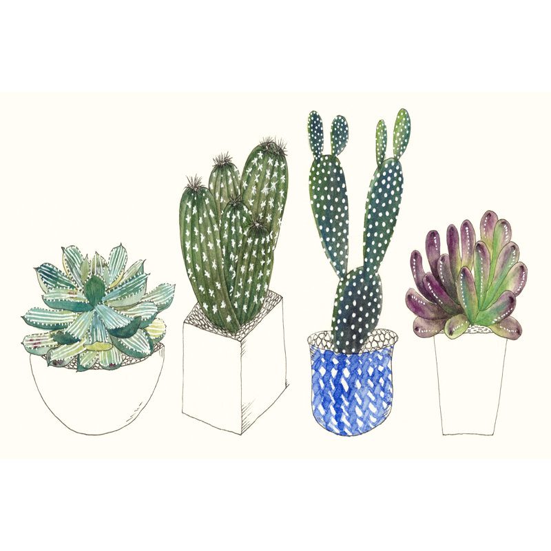 'Four Succulents II' by Melissa Wang - Painting Print, 20cm H x 30cm W, Wrapped Canvas