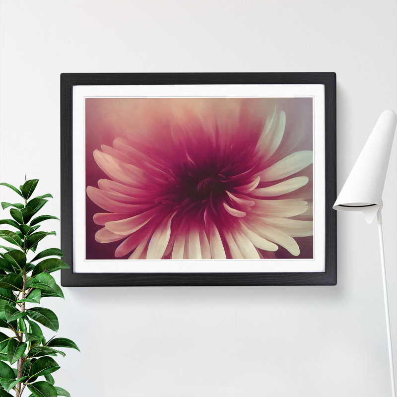 Cute Chrysanthemum Flower Vol.3 - Single Picture Frame Painting, 46cm H x 64cm W x 2cm D, Black