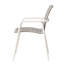 Dining Arm Chair-Set Of 4-451085670