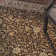 Tapis brun / ivoire Shelburne