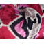 Velvet Rectangular Pillow Cover & Insert-54746970