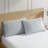 Soft Microfiber Pillowcase - Basics by Wayfair™-76020803-55944752
