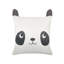 Parvati Square Cushion