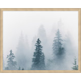 Misty Morning Hike 4 Print