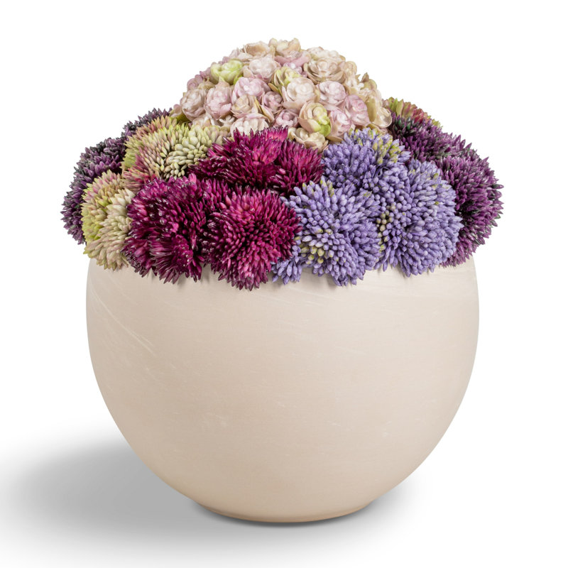Arrangement Evren Sedum, Mélange lavande