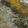 Machine Washable Indoor/Outdoor Boruta ACN2242 Abstract Rug