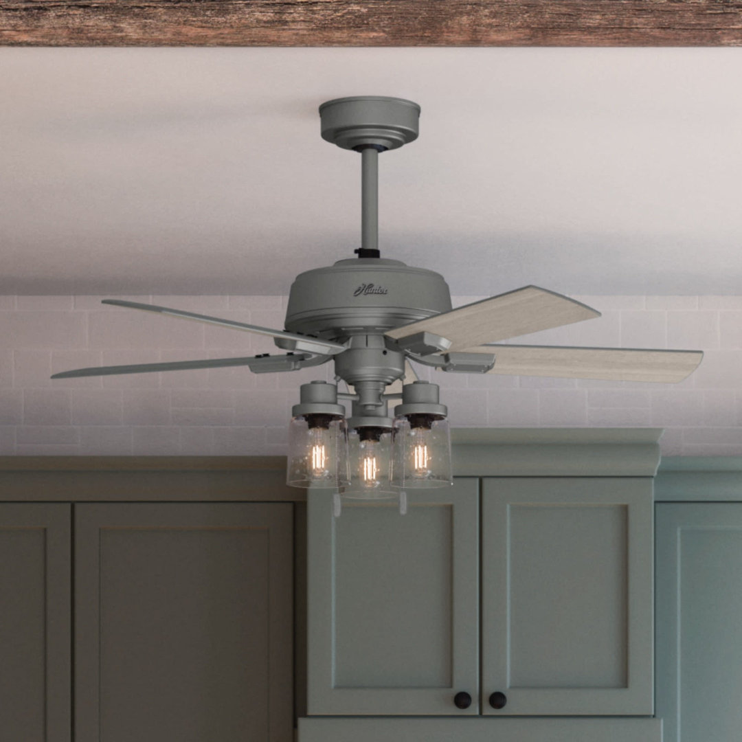 44" Hartland 5 - Blade Modern Farmhouse Indoor Ceiling Fan with Lights and Pull Chains Hunter Fan 