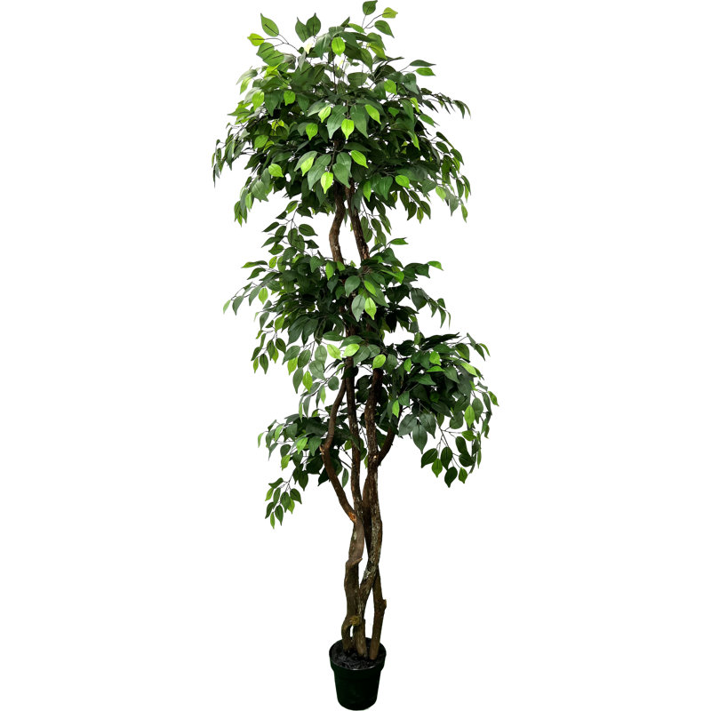 Hand-Made Primrue Giant 6.5'' Artificial Ficus Tree