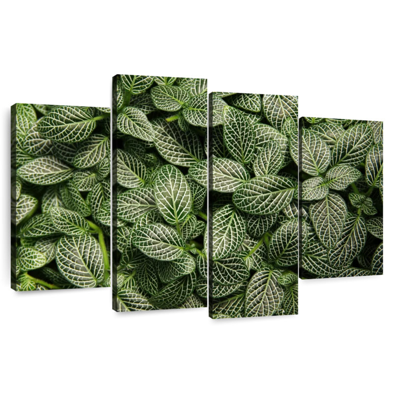 Harnek Green Nerve Plant, 54" H x 84" W