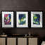 Affiches d'exposition Night Garden I-1412199423-1412199417