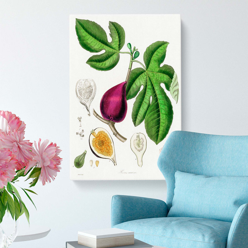 Fig Tree Illustration - Wrapped Canvas, 91cm H x 60cm W x 3cm D
