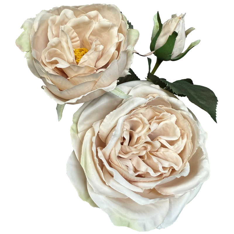 Anastasija Arrangement, Pink, 58 cm H x 10 cm W x 10 cm D