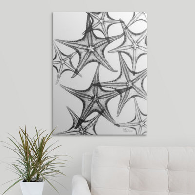 X-Ray Starfish Albert Koetsier - Unframed Print