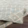 Desirae Southwestern Indoor Rug
