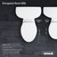 Toilette allongée deux pièces Wellworth 1,6 GPF (siège non inclus)-101431498-10979810