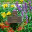 Owl Personalized Garden Sig-521000914-523334964