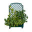 Brandun Planter Box with Trellis-1281729692