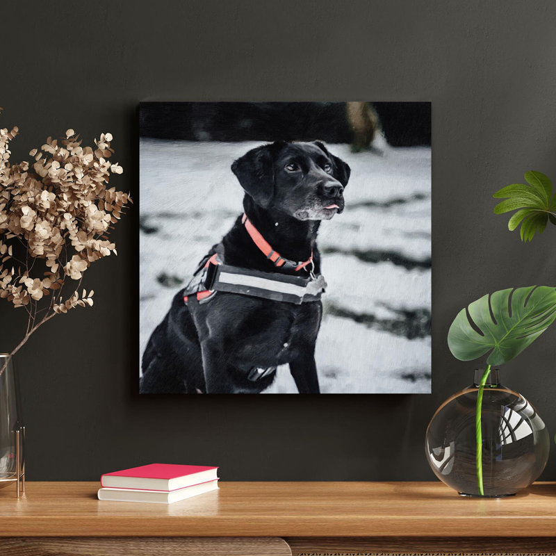 Labrador noir retriever avec laisse rouge - 1 pièce, reproduction d'art graphique sur toile tendue, H 16 po x l 16 po