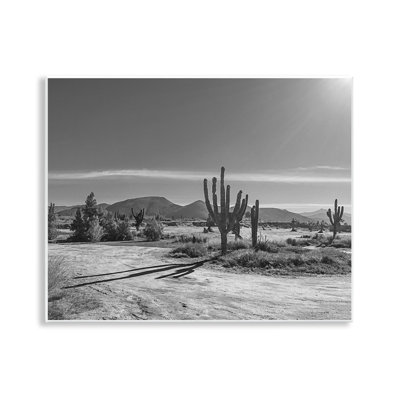 Sunlit Cactus Valley Wall Plaque, design by Norm Stelfox