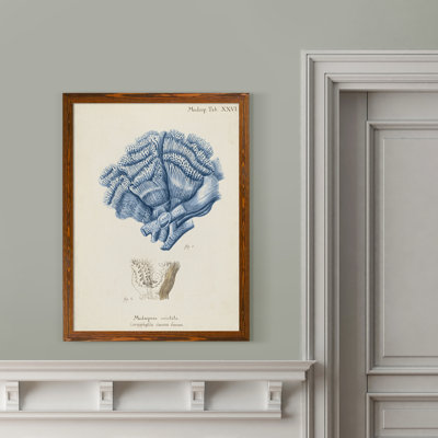 " Antique Coral In Navy II " by Paul Cezanne