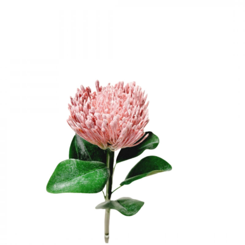 Fleur artificielle légère bourgogne clair Protea